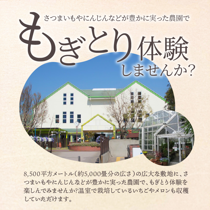 【旬のお野菜・もぎとり体験チケット 4,500円分】何名様でもご利用可能！ 野菜 農業体験 収穫 畑 農園 チケット 体験 プレゼント H025-011