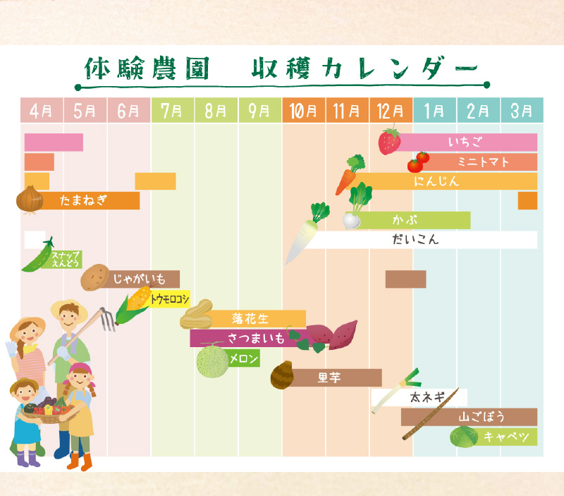 【旬のお野菜・もぎとり体験チケット 4,500円分】何名様でもご利用可能！ 野菜 農業体験 収穫 畑 農園 チケット 体験 プレゼント H025-011