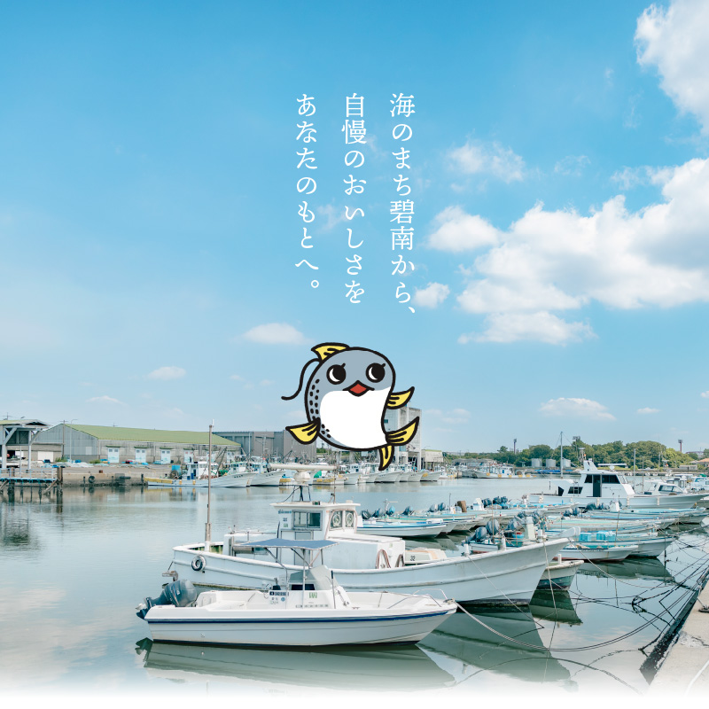 金の〆さば「〆さば界の金メダルを目指して」　H021-065