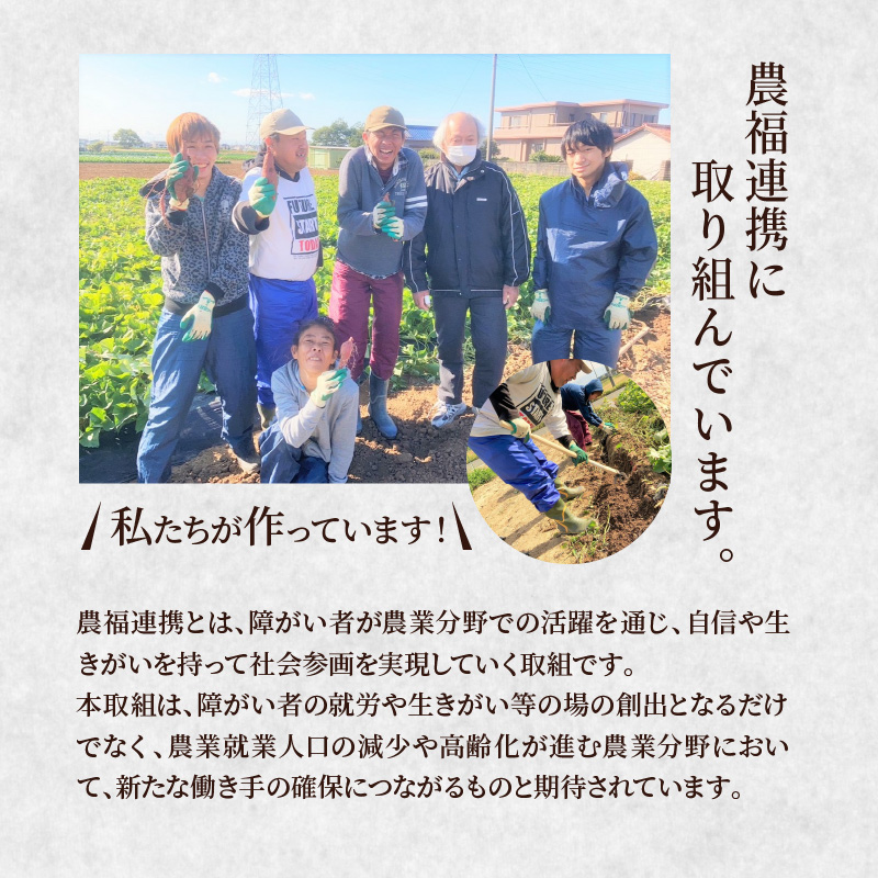 【農福連携】やみつき塩けんぴ（芋けんぴ）　7袋小分けセット（計420g） サツマイモスイーツ さつまいもスイーツ 芋けんぴ いもかりんとう いもけんぴ 和菓子 スイーツ お菓子 お茶うけ おつまみ 小分け ご当地 碧南市　H187-002