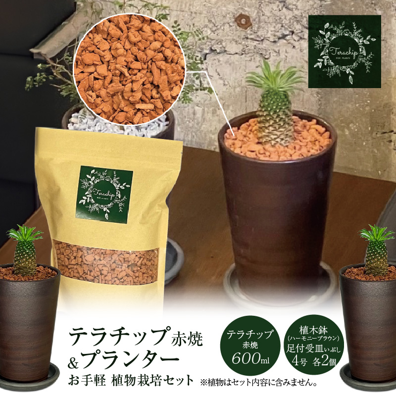 三河焼植木鉢ハーモニーブラウン【テラチップ赤焼】プランター お手軽植物栽培セット H188-004