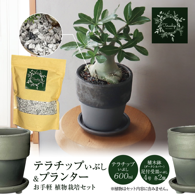 三河焼 植木鉢 ダークシルバー【テラチップいぶし】プランター お手軽 植物栽培セット H188-001