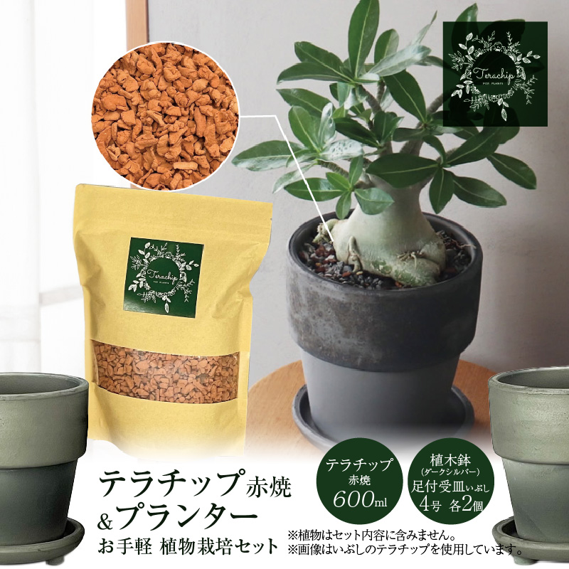三河焼植木鉢ダークシルバー【テラチップ赤焼】プランター お手軽植物栽培セット 園芸 粘土 鉢 植物 土 シルバー 銀 赤 H188-002