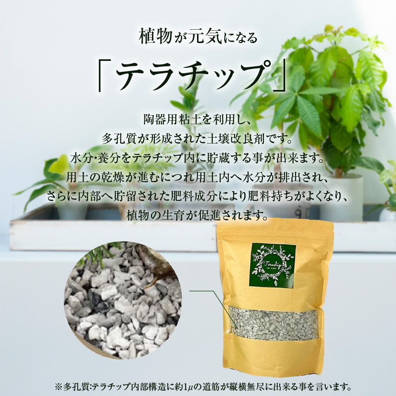 三河焼植木鉢ハーモニーブラウン【テラチップいぶし】プランター お手軽植物栽培セット 園芸 粘土 鉢 植物 土 シルバー 銀 茶 H188-003