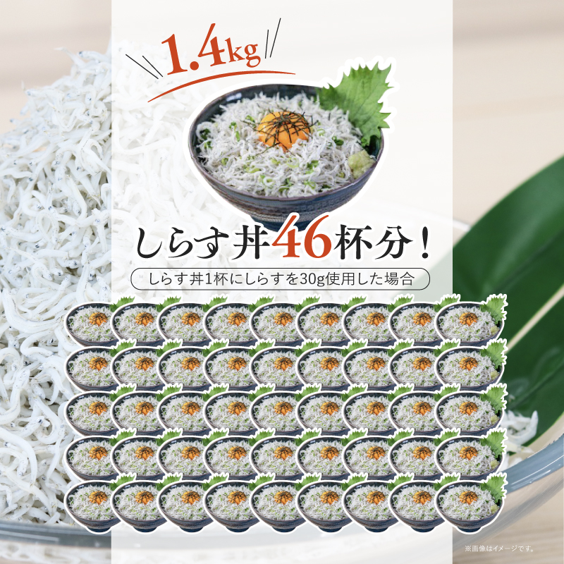 äžæ²³ããã 1.4kgïŒ1kgç®±å
¥+400gåç²§ç®±å
¥ïŒ éä»é¡ ããã ã·ã©ã¹ åœç£ æµ·ã®å¹ž ã飯ã®ãäŸ ãã€ãŸã¿ ããã䞌 ã°ã«ã¡ ã®ãã èŽãç© ãã¿ã€ã å·å H018-048