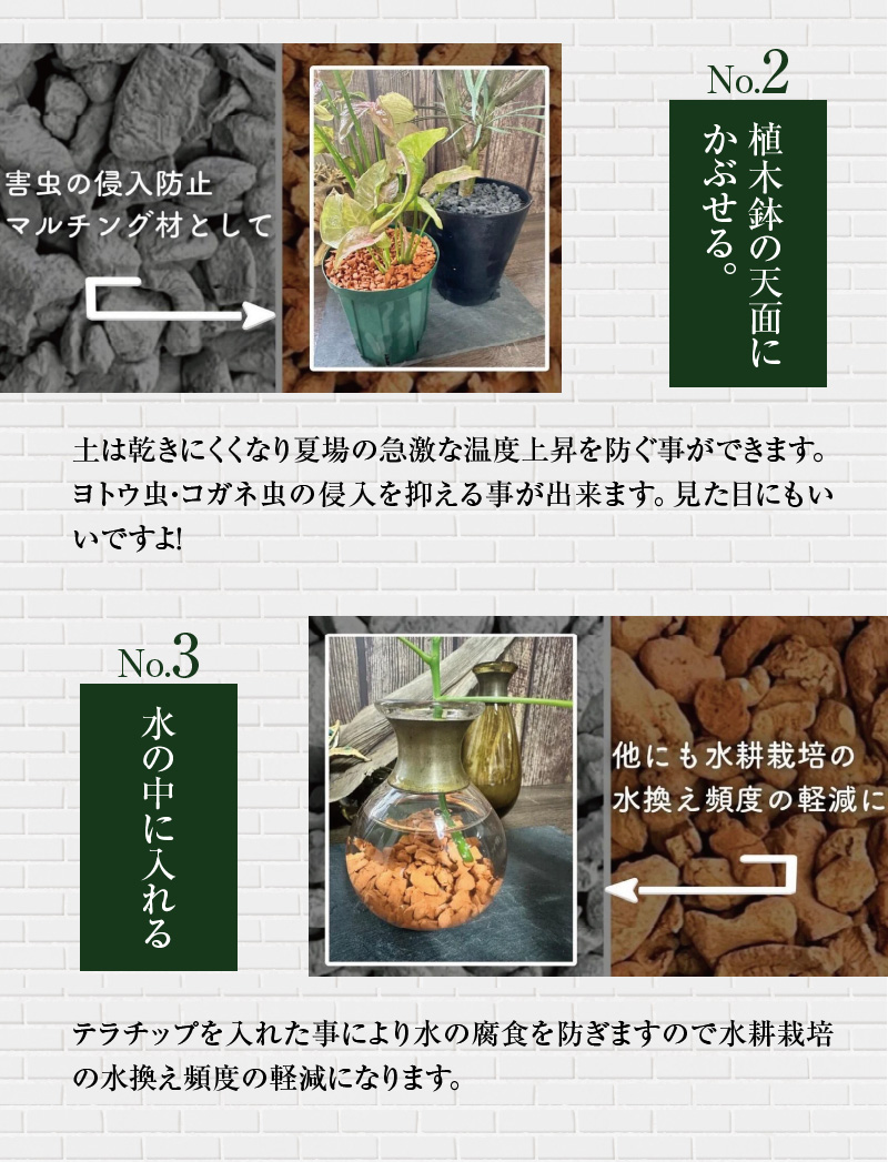 三河焼 植木鉢 ダークシルバー【テラチップいぶし】プランター お手軽 植物栽培セット H188-001