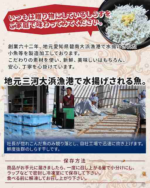 【半年定期便 隔月3回】しらす屋のしらす干し　500ｇ×3回お届け　定期便 【へきなん優良みやげ推奨品】 H006-089