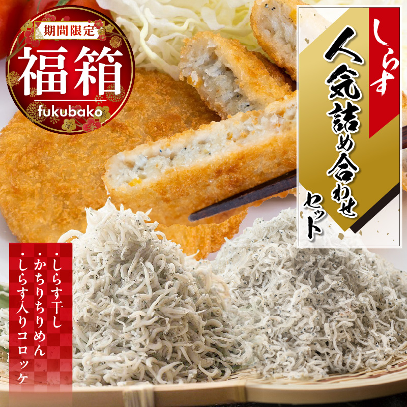 【12月24日受付分まで年内発送】【福箱★2026】 丸久水産 人気詰め合わせセット しらす干し かちりちりめん しらす入りコロッケ H018-052