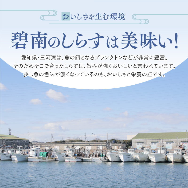 【福箱★2025】 丸久水産 人気詰め合わせセット しらす干し かちりちりめん しらす入りコロッケ H018-044