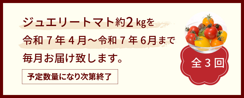 【数量限定】たっぷり約2kg×3回！　フルーツジュエリーミニトマトの定期便（4月～6月毎月お届け3回コース）　H004-132