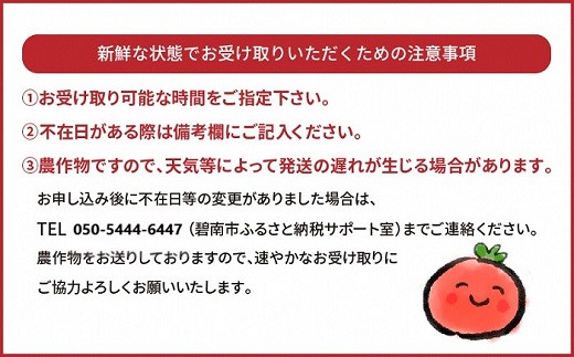 【先行受付】2027年1月～6月毎月発送　まるでトマトの宝石箱！ジュエリートマトの定期便　約700g×6回コース　H004-210