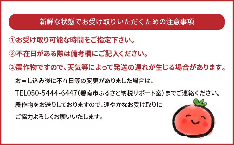 甘さ抜群!!トマト嫌いも食べられるトマトベリー約1.6kg　H004-116