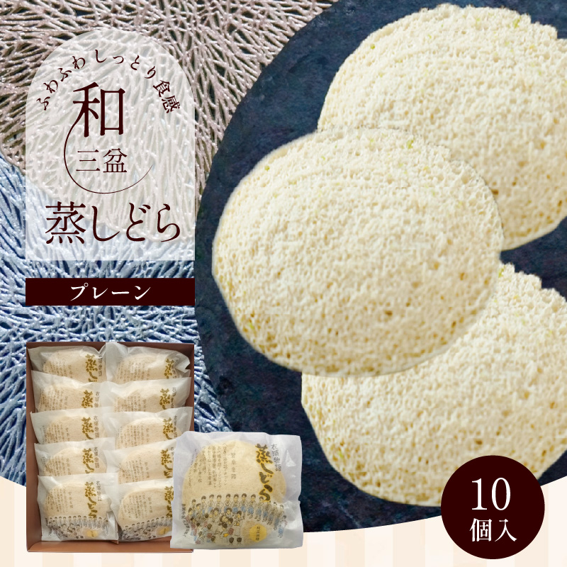 【蒸しどら プレーン 10個入 】和三盆 どら焼き 餡 ふわふわ しっとり食感 H181-004