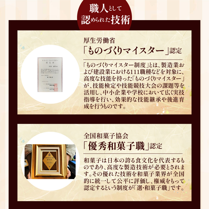 【蒸しどら プレーン 10個入 】和三盆 どら焼き 餡 ふわふわ しっとり食感 H181-010