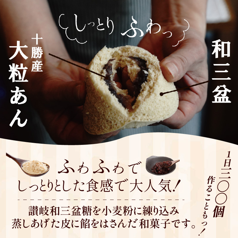 【蒸しどら3種  10個入 】和三盆 プレーン×5 抹茶×3 コーヒー×2 どら焼き 和菓子  餡 ふわふわ しっとり食感 H181-006