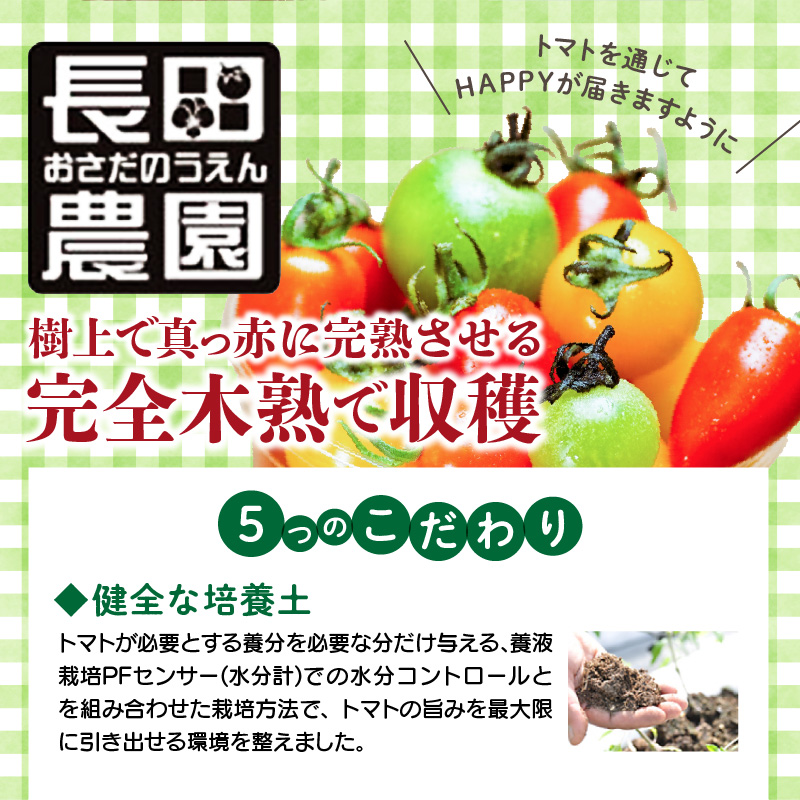 【4月～6月の定期便】トマト好き全員集合 トマト・トマト・トマト3か月お届けパック 野菜ソムリエサミット 金賞 受賞 長田農園 産地直送 トマト とまと 野菜 やさい フルーツ サラダ 濃厚 甘い ご褒美 プレゼント 美容 健康 リピート多数 人気 高評価 数量限定 碧南市　H004-173