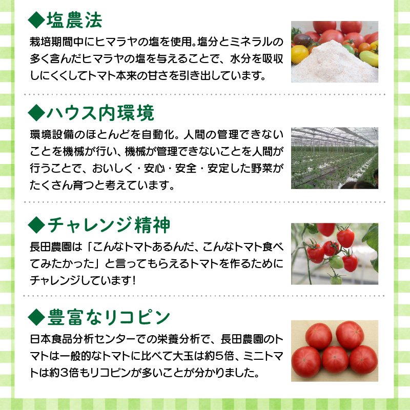 【4月～6月の定期便】トマト好き全員集合 トマト・トマト・トマト3か月お届けパック 野菜ソムリエサミット 金賞 受賞 長田農園 産地直送 トマト とまと 野菜 やさい フルーツ サラダ 濃厚 甘い ご褒美 プレゼント 美容 健康 リピート多数 人気 高評価 数量限定 碧南市　H004-173