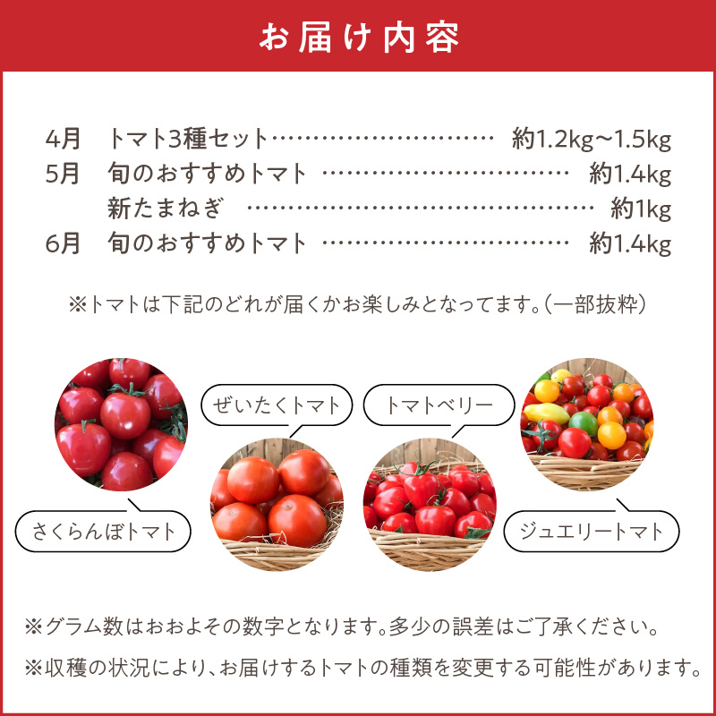 【4月～6月の定期便】トマト好き全員集合 トマト・トマト・トマト3か月お届けパック 野菜ソムリエサミット 金賞 受賞 長田農園 産地直送 トマト とまと 野菜 やさい フルーツ サラダ 濃厚 甘い ご褒美 プレゼント 美容 健康 リピート多数 人気 高評価 数量限定 碧南市　H004-173