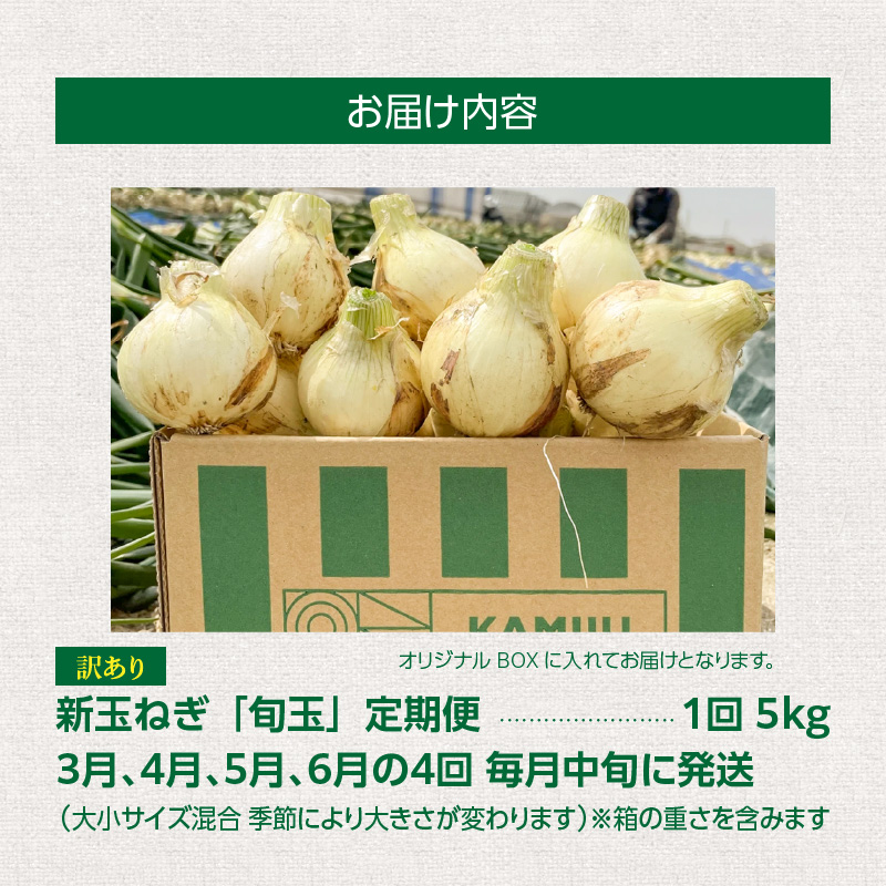 (2026年発送)訳あり 新玉ねぎ 定期便 5kg×4回　生がおいしい 神重農産のブランド玉ねぎ「旬玉」　H105-129