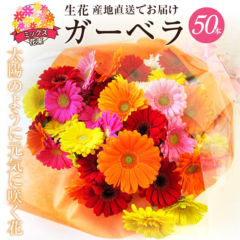 【ラッピング付】生花ガーベラミックスの花束 50本 日付指定可能 ギフト プレゼント ラッピング 産地直送 インテリア お花 フラワー  ボリューム満点 H193-012
