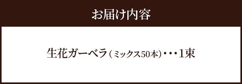 【ラッピング付】生花ガーベラミックスの花束 50本 日付指定可能 ギフト プレゼント ラッピング 産地直送 インテリア お花 フラワー  ボリューム満点 H193-012