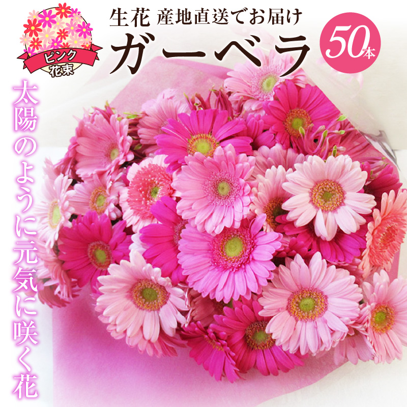 【ラッピング付】生花 ピンクガーベラ の花束 50本 日付指定可能 ギフト プレゼント ラッピング 産地直送 インテリア お花 フラワー  ボリューム満点 H193-013