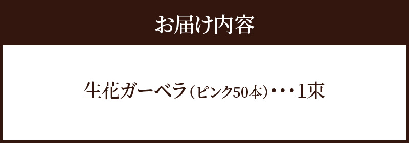【ラッピング付】生花 ピンクガーベラ の花束 50本 日付指定可能 ギフト プレゼント ラッピング 産地直送 インテリア お花 フラワー  ボリューム満点 H193-013