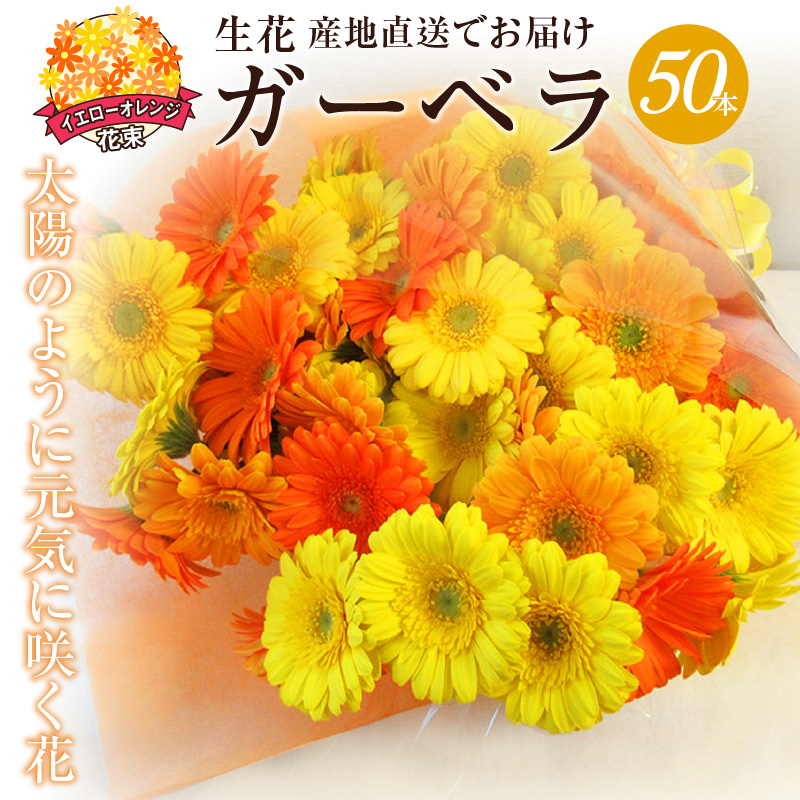 【ラッピング付】生花 イエローオレンジガーベラ の花束 50本 日付指定可能 ギフト プレゼント ラッピング 産地直送 インテリア お花 フラワー  ボリューム満点 H193-014