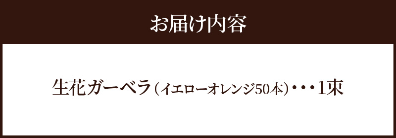 【ラッピング付】生花 イエローオレンジガーベラ の花束 50本 日付指定可能 ギフト プレゼント ラッピング 産地直送 インテリア お花 フラワー  ボリューム満点 H193-014
