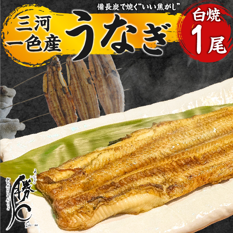 【備長炭で焼く“いい焦がし”】三河一色産うなぎの白焼 1尾 鰻 ウナギ  白焼き 国産 備長炭 土用 丑の日 冷凍 三河一色産 H189-010