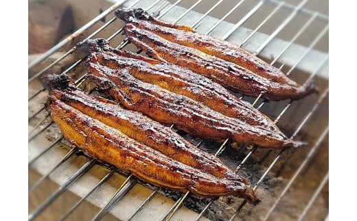 【備長炭で焼く“いい焦がし”】炭火焼うなぎ勝〇お食事券15,000円分 うなぎ 鰻 店 飲食 食事券 H189-008