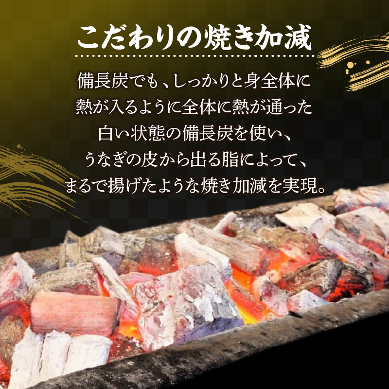 うなぎ職人体験　家族でうなぎを焼いてみよう　三河一色産 鰻 うなぎ 家族 体験 学習 勉強 知識 H189-009