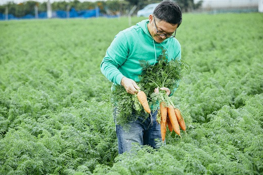 【訳あり】甘くて食べやすい“碧南にんじん” 5kg にんじん 人参 ニンジン 野菜 やさい 国産 碧南市 健康 食品ロス削減 甘い 先行予約 旬 特産 高評価 高リピート 人気 H105-139