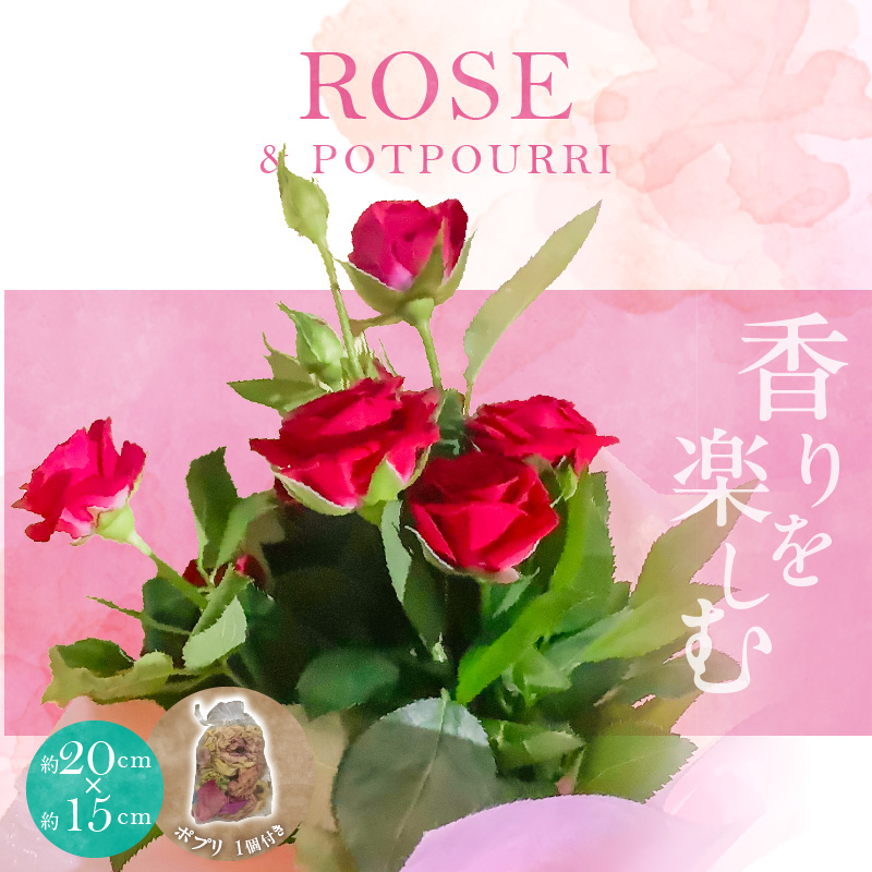 バラの花束とバラのポプリ サシェ 匂袋 H092-063