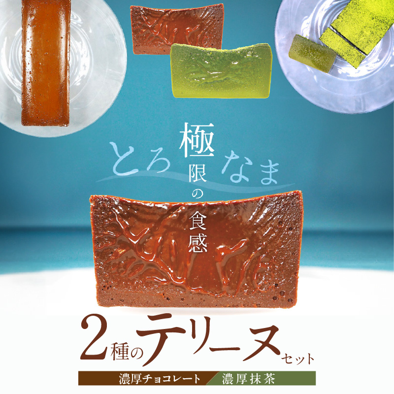【テリーヌ専門店L】（約２００g）濃厚抹茶・濃厚チョコレート2種のテリーヌセット【グルテンフリー・保存料不使用】抹茶 スイーツ 西尾抹茶 H173-010