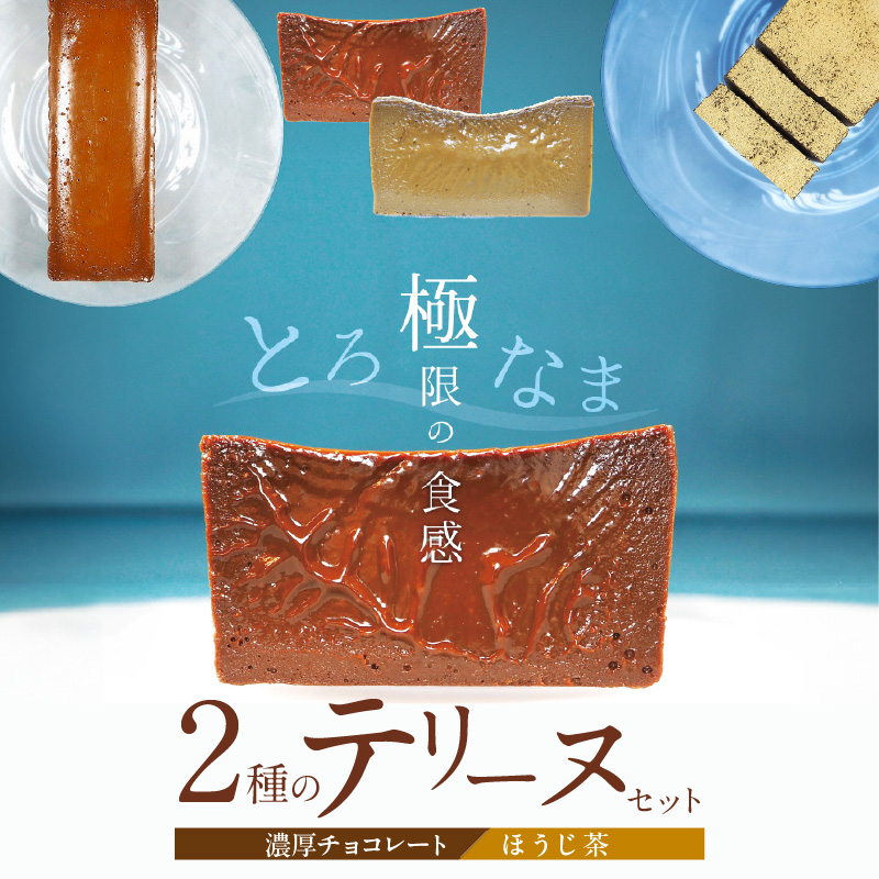 【テリーヌ専門店L】（約２００g）濃厚チョコレート・ほうじ茶2種のテリーヌセット【グルテンフリー・保存料不使用】 スイーツ H173-037