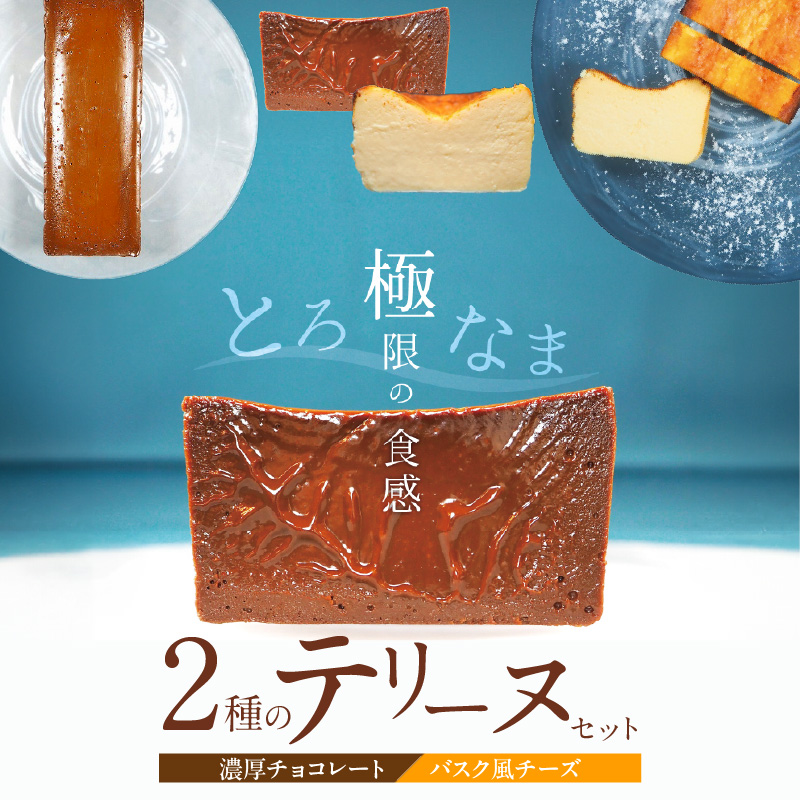 【テリーヌ専門店L】（約２００g）濃厚チョコレート・バスク風チーズ2種のテリーヌセット【グルテンフリー・保存料不使用】 スイーツ H173-012