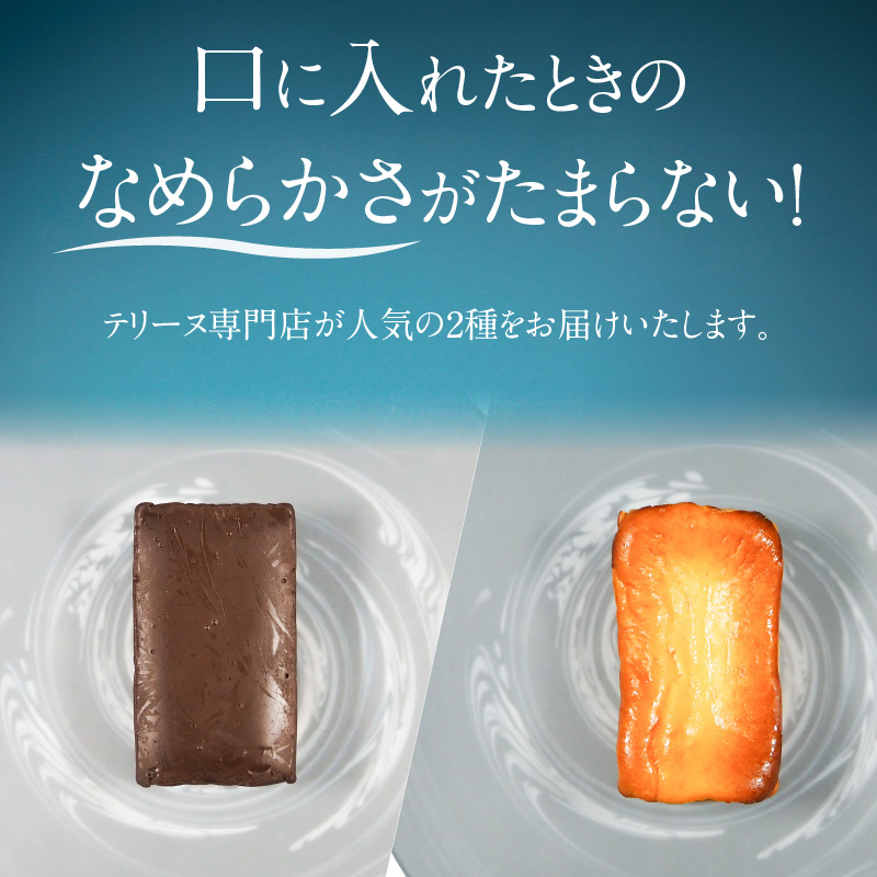 【テリーヌ専門店L】（約２００g）濃厚チョコレート・バスク風チーズ2種のテリーヌセット【グルテンフリー・保存料不使用】 スイーツ H173-038