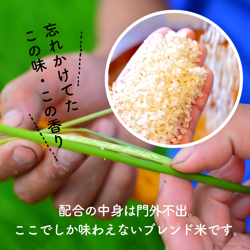 【お米マイスター】ほっ♡懐かし米 10kg 令和7年度産 こだわり ブレンド こめ コメ 米 H056-144