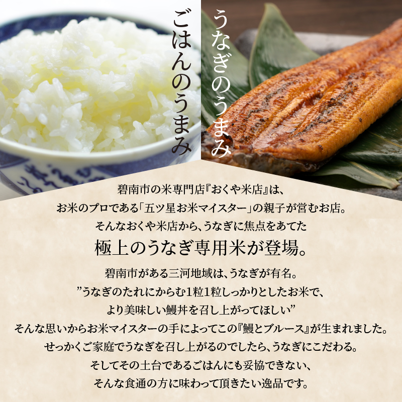 【五ツ星お米マイスター】 うなぎ専用米「鰻とブルース」 5kg こだわりのブレンド米 コメ 白米 精米 H056-150