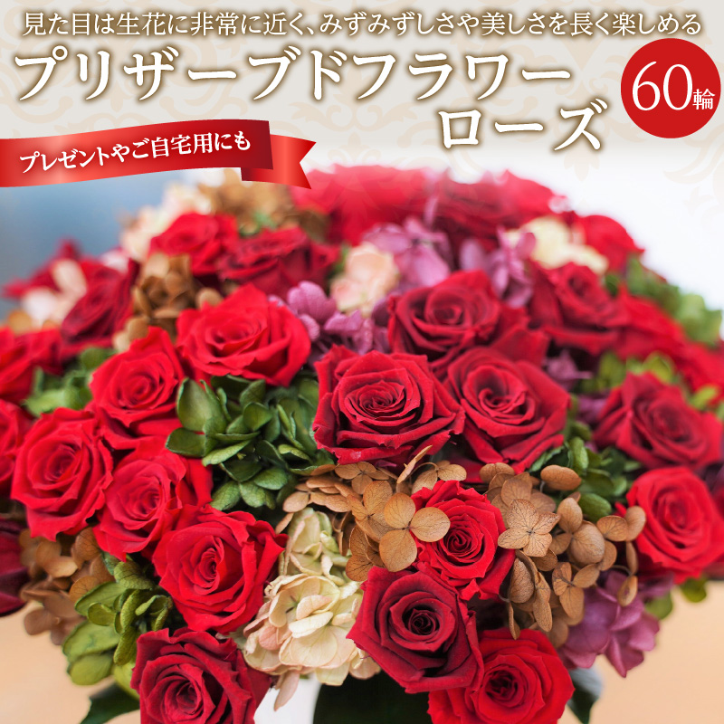 【日付指定可能】プリザーブドフラワーローズ60輪のアレンジメント 薔薇 バラ ギフト プレゼント ラッピング 産地直送 インテリア お花 フラワー ボリューム満点 H193-005