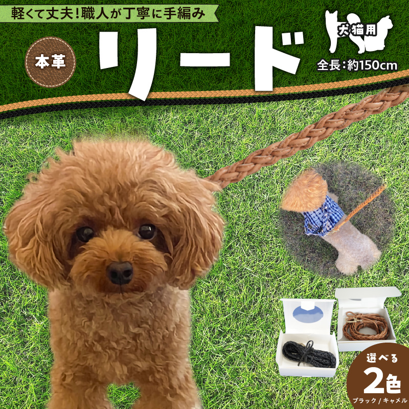 職人手作りの【本革】犬猫用リード 編み込みレザー ペット 愛犬 小型犬 犬 猫 本革 編み込み リード レザーリード ロングリード おしゃれ 人気 プレゼント 可愛い 紐 本革 レザー 日本製  H066-044