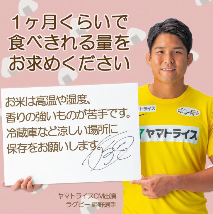 【24回定期便　玄米パックご飯】北海道産ゆめぴりか使用 150g×24個入り やわらかい玄米ごはん  レトルト 玄米 パックライス レンジ 保存食 非常食 防災 キャンプ ごはん 玄米 一人暮らし 備蓄 タイパ飯 安心安全なヤマトライス　H074-682
