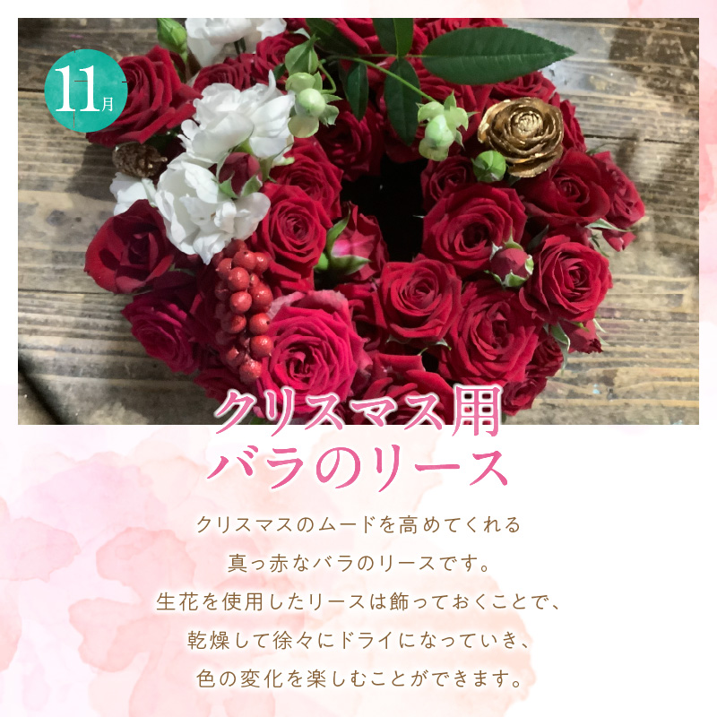 【全４回】季節感じる生花の定期便 (9月～12月に毎月お届け) 花 クリスマス お正月 リース クルクマ バラ 薔薇 ガーベラ マム 菊 H092-066