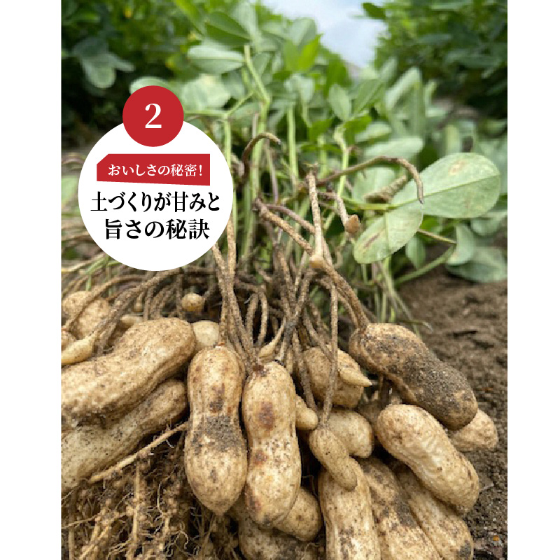【2026年発送】事前予約 訳あり やみつき極うま “金の生落花生” 塩ゆで専用 1kg(500g×2袋）　H105-197