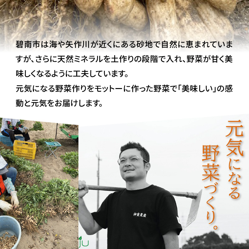 【2026年発送】事前予約 訳あり やみつき極うま “金の生落花生” 塩ゆで専用 1kg(500g×2袋）　H105-197