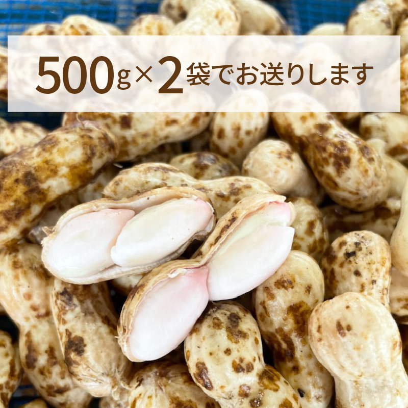 【2026年発送】事前予約 訳あり やみつき極うま “金の生落花生” 塩ゆで専用 1kg(500g×2袋）　H105-197
