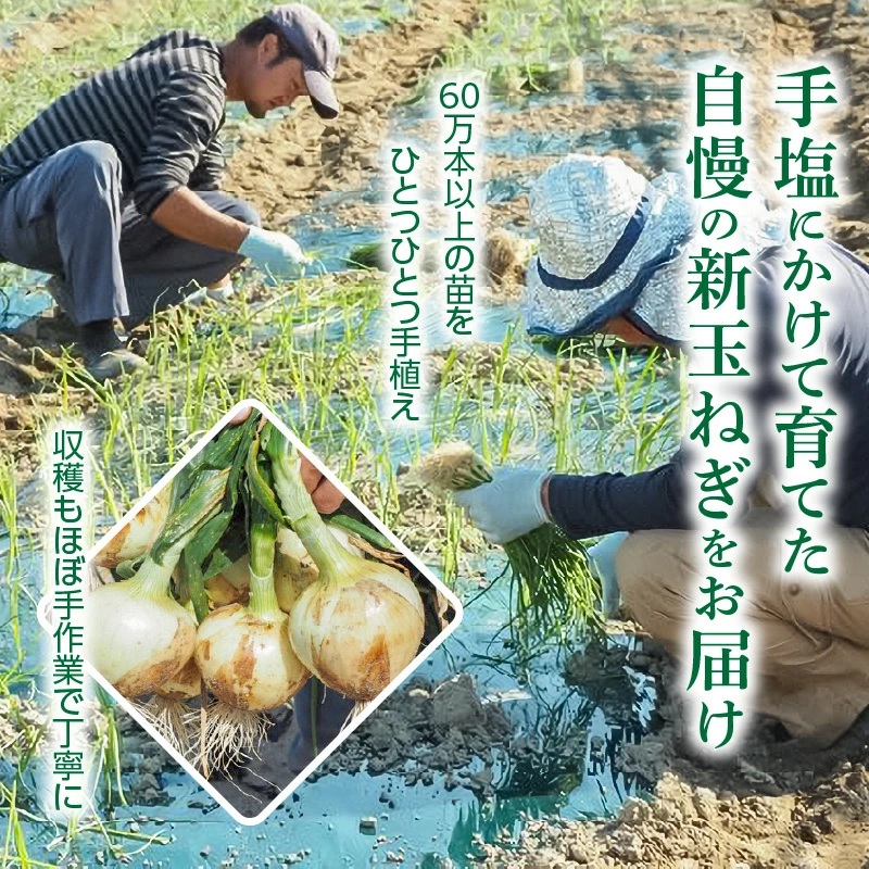 (2026年発送) ≪『満天☆青空レストラン』で紹介されました！≫ 訳あり 新玉ねぎ 生がおいしい 神重農産のブランド玉ねぎ「旬玉」5kg ブランド玉ねぎ 玉ねぎ 国産 愛知県産 野菜 やさい 農家直送 畑直送 旬 期間限定 たまねぎ 先行予約 旬 特産 高評価 高リピート 人気 H105-203