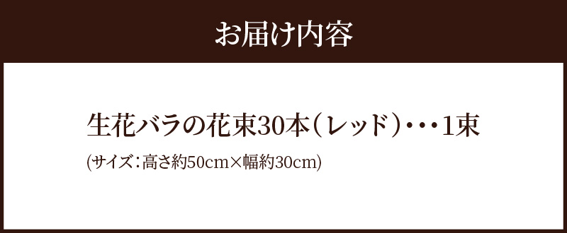 【ラッピング付】生花 レッド バラの花束 30本 日付指定可能 赤 薔薇 ローズ ギフト プレゼント ラッピング インテリア お花 フラワー  H193-017