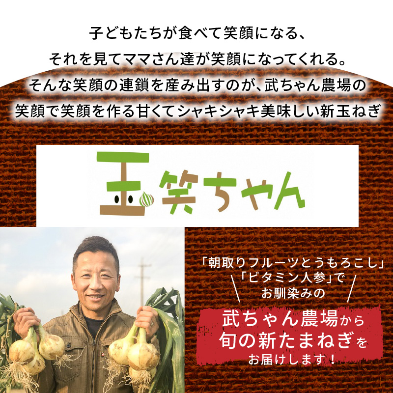 【2026年発送】笑顔で笑顔を作る武ちゃん農場の新玉ねぎ“玉笑ちゃん” 9個　H095-029